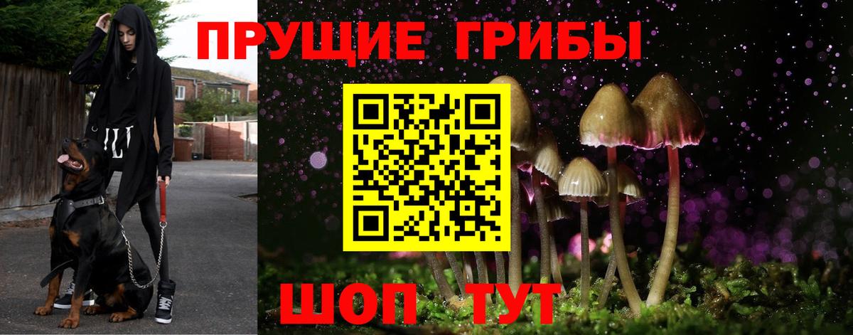 Ковров  Псилоцибиновые грибы Psilocybe  Вход с VPN  Галлюциногенные грибы Cubensis 